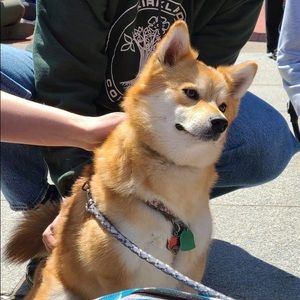 Meet your Posher, Jason